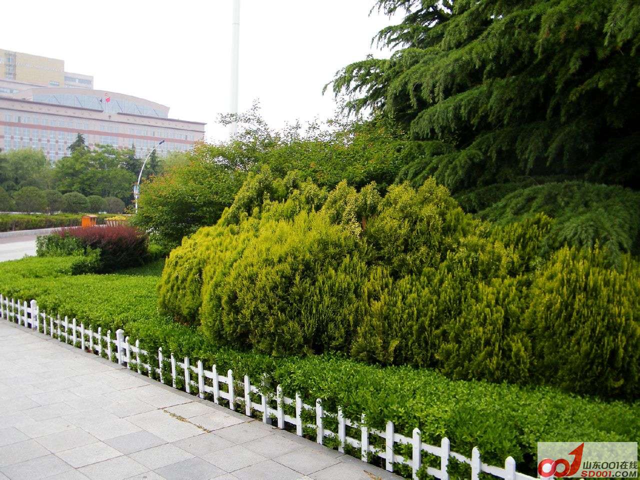 8bdd5d1a9313b07ef36eaab40cd7912396dd8c72.jpg