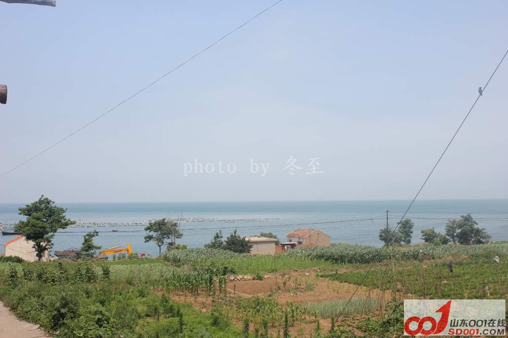 IMG_2165.jpg
