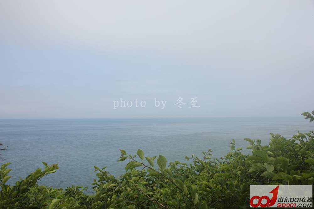 IMG_2117.jpg