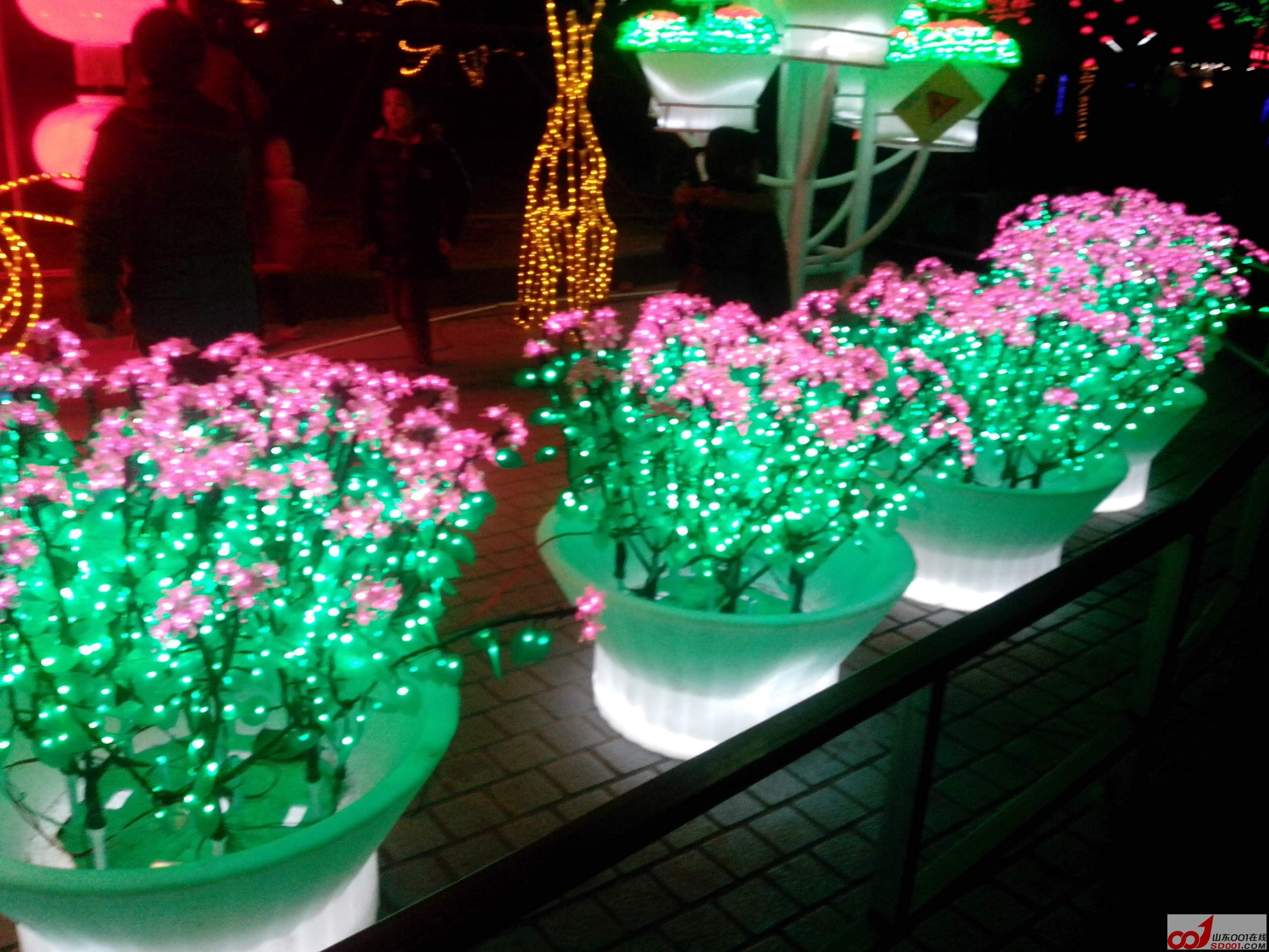 IMG_20140213_193509.jpg