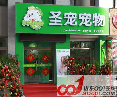 开宠物店的准备工作都有哪些-济南-开店做生意