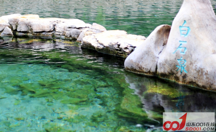 ����ɽ��ʡ���������������� ������𣿣���