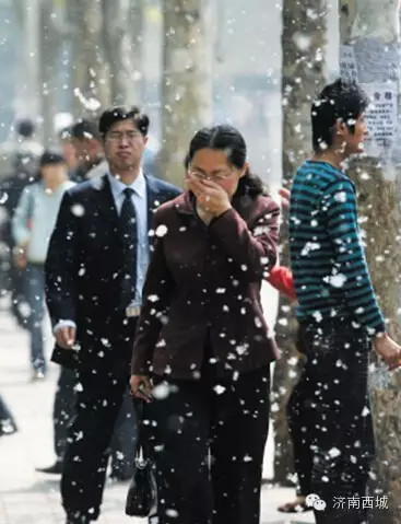 ���ϵ������ܲ�����~�����亦������Ⱥ�����ǻ�����