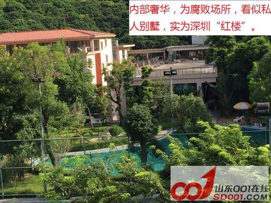 茂名人大彭明生雇佣非法公关 压制其违建皇宫