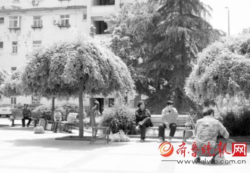 �Թ��緹���øֵ�������ϲ������һ�������ջԻ͡��������� ���� ��