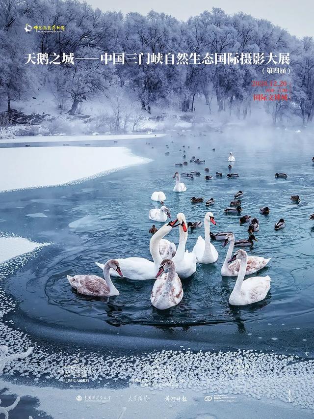 йӰڣϿȻ̬ӰչƷѡ-1.jpg