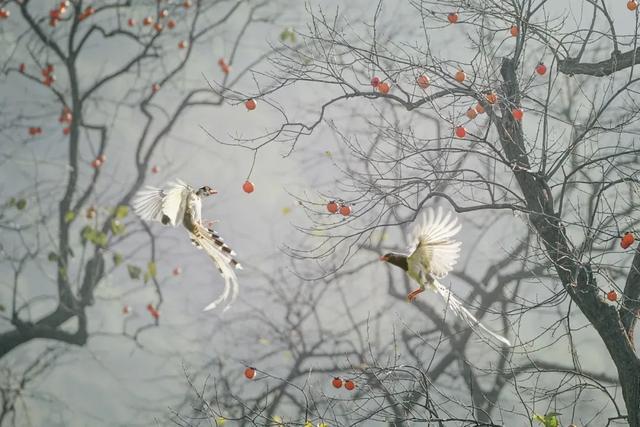 йӰڣϿȻ̬ӰչƷѡ-26.jpg