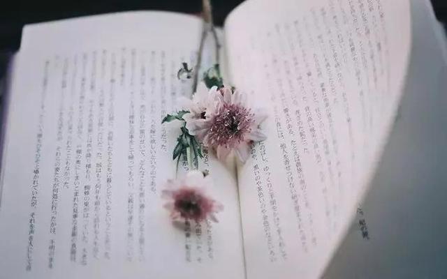 һ飬ĳÿƬ-14.jpg
