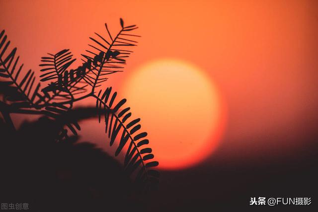 û⣬ѧ6ɣĳӰƬ-6.jpg