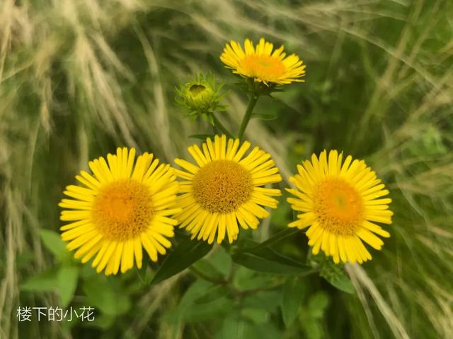 ��Ƭ��� 2020�����԰���ͬ���ǵġ������Ƭ��-43.jpg