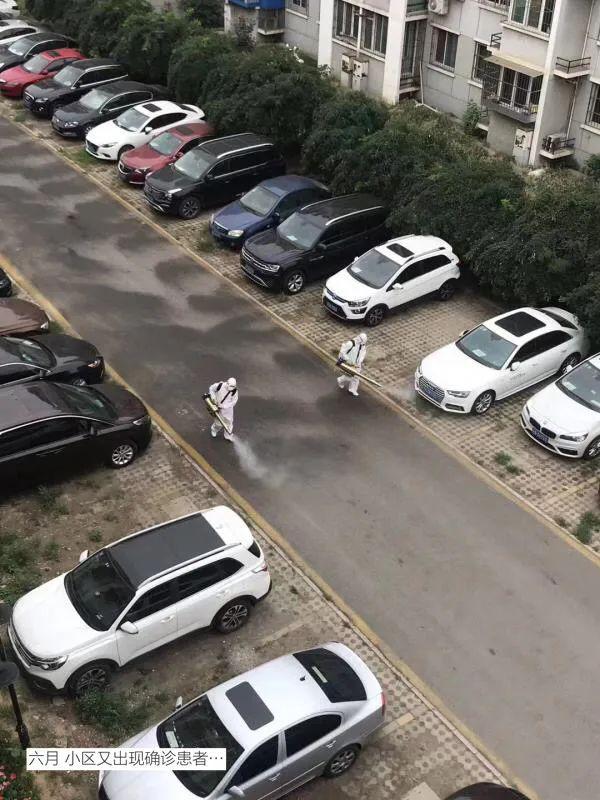 ��Ƭ��� 2020�����԰���ͬ���ǵġ������Ƭ��-41.jpg