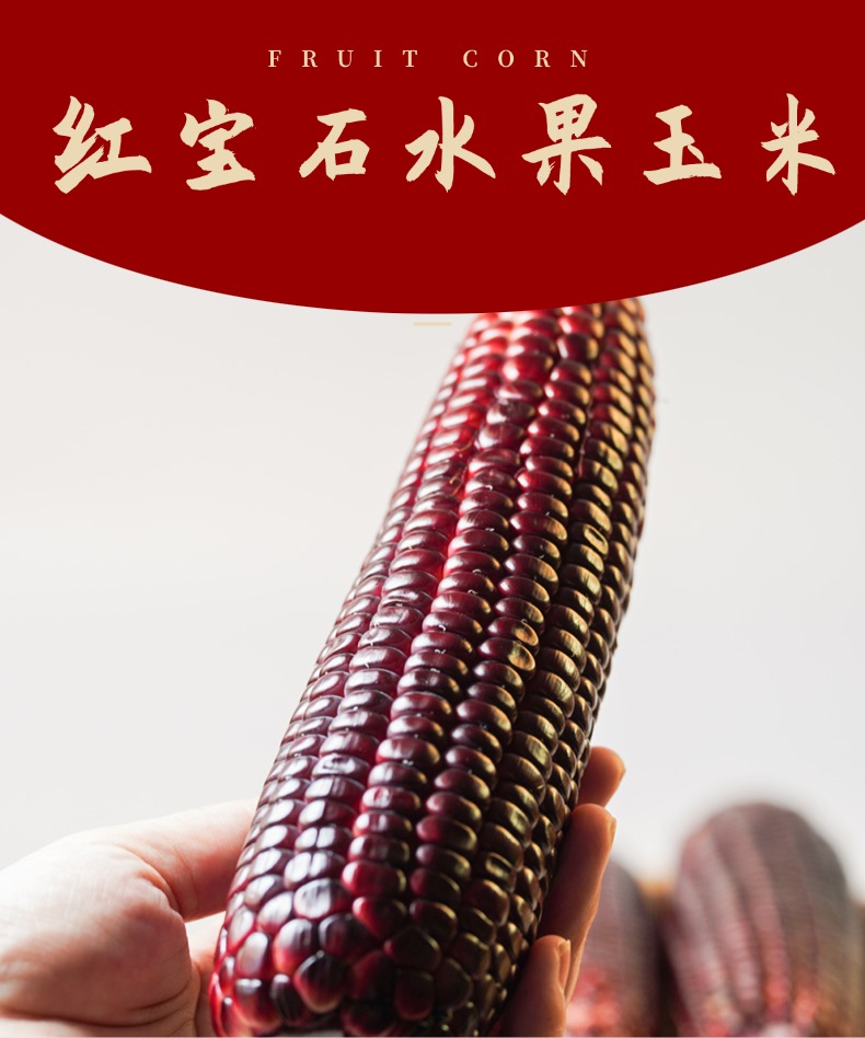 ͼƬ5.jpg